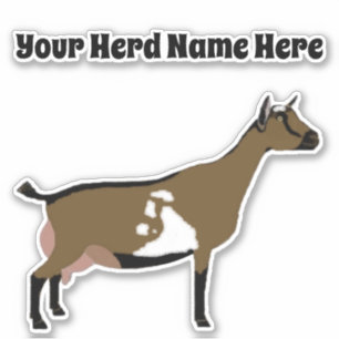 Personalized Nigerian Dwarf Dairy Goat Sticker