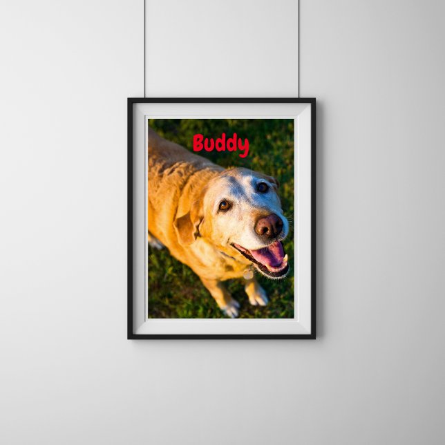 Personalized Older Dog memorial Photo Poster (Creator Uploaded)