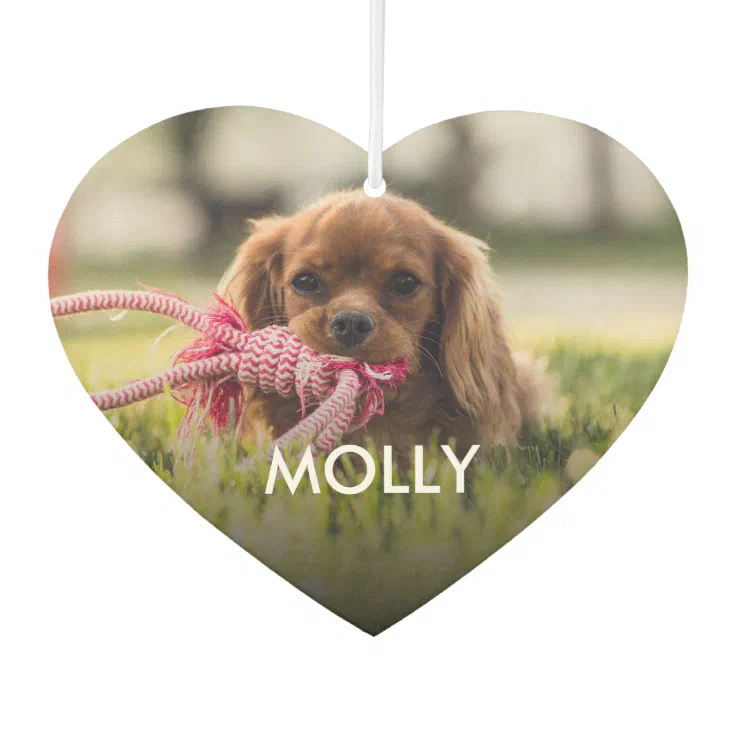 Personalized One Of a Kind Photo And Name Pets Air Freshener Zazzle