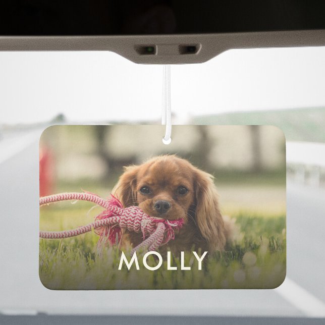 Personalized One Of a Kind Photo And Name Pets Air Freshener (Creator Uploaded)