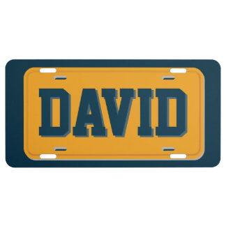 Personalized Orange and Blue License Plate