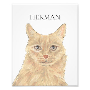Personalized Orange Maine Coon Art Photo Print
