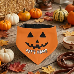 Personalized Orange Pumpkin Halloween Your Name Pet Bandana Collar