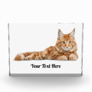 Personalized Orange Tabby Cat Acrylic Award