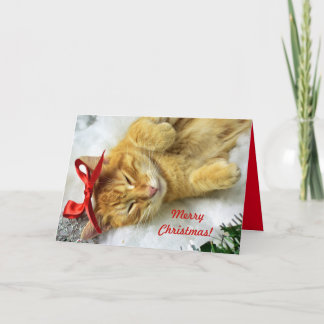 Personalized Orange Tabby Cat Christmas Card