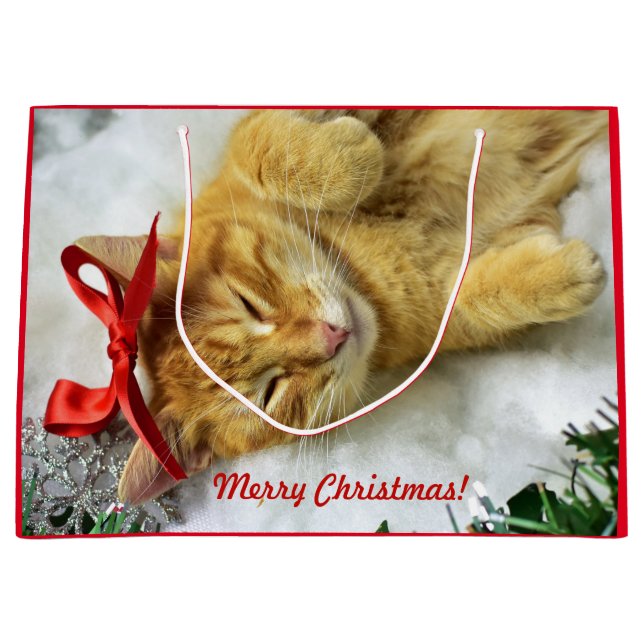 Personalized Orange Tabby Cat Christmas Large Gift Bag (Front)