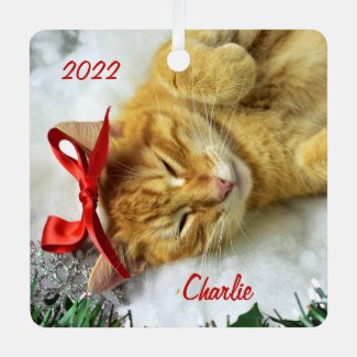 Personalized Orange Tabby Cat Christmas