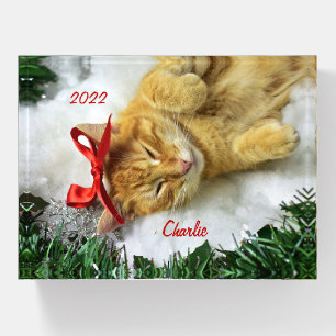 Personalized Orange Tabby Cat Christmas Paperweight