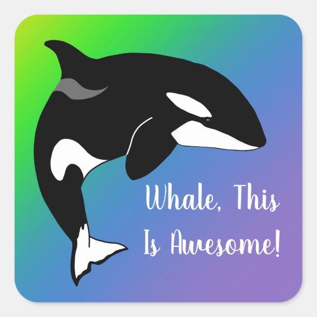 Personalized Orca Killer Whale  Square Sticker (Front)