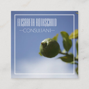 Personalized Organic Lemon Lime Business Card