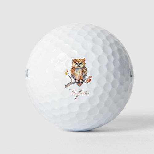 Personalized Owl Golf Balls