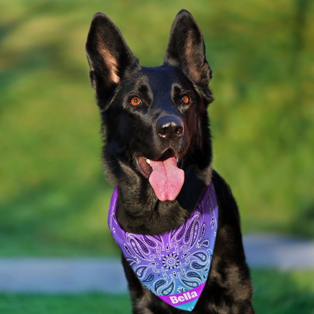 Personalized Paisley Ombré  Pet Bandana Collar (Dog)