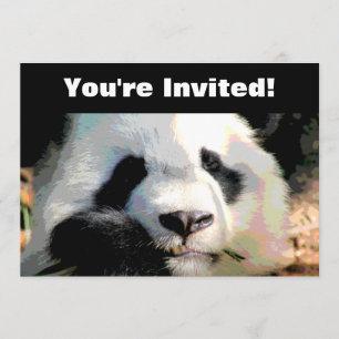 Personalized   Panda Bear Birthday Party Invitation