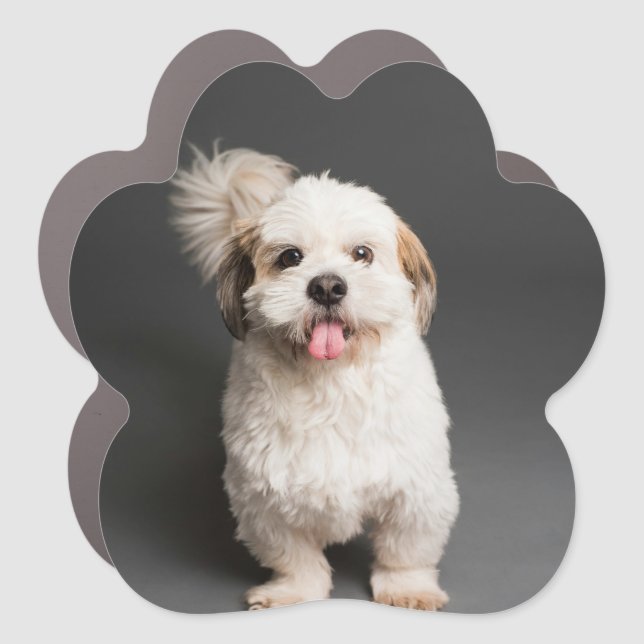 Personalized Paw Car Magnet (Front)