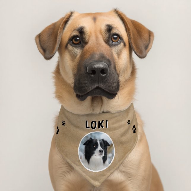 Personalized Paw Print Dog Photo Name Pet Bandana Collar (Dog 2)