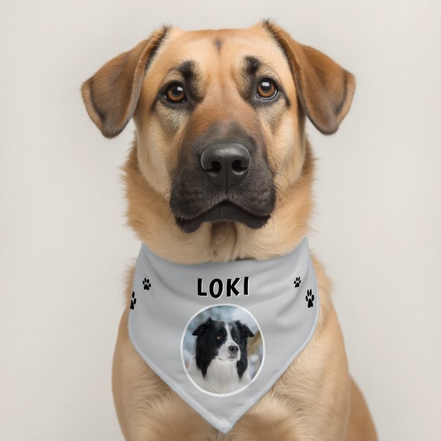 Personalized Paw Print Dog Photo Name Pet Bandana Collar (Dog 2)