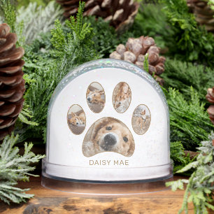 Personalized Paw Print Pet Name Year Photo Collage Snow Globe