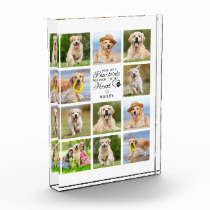 Personalized Paw Prints My Heart Pet Memorial Phot Photo Block