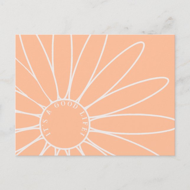 Personalized Peach Fuzz Daisy Flower Postcard (Front)