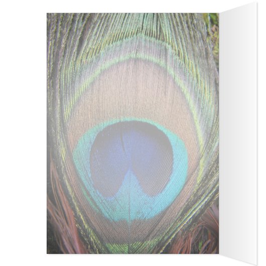 Personalized Peacock Feather (Inside (Left))