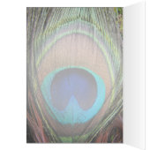 Personalized Peacock Feather Cards (Inside (Left))