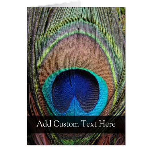 Personalized Peacock Feather Cards (Front)