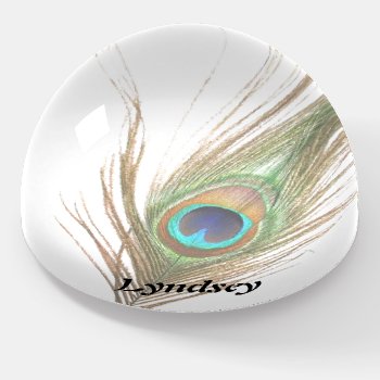 Personalized Peacock Feather Choose Background Paperweight by BuzBuzBuz at Zazzle
