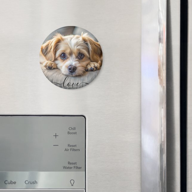 Personalized pet 2 photo dog lover keepsake name  magnet (In Situ (Fridge))