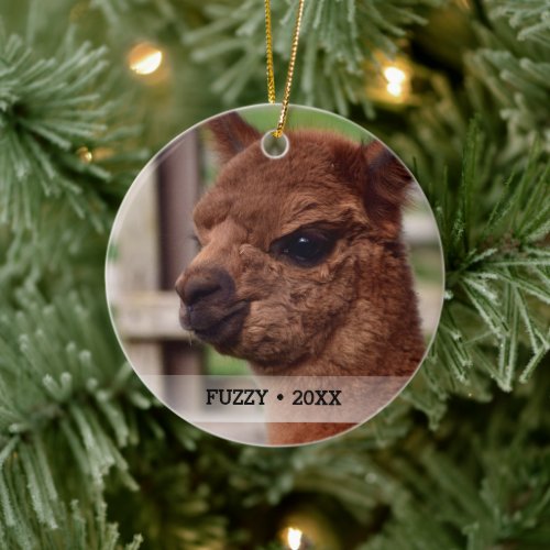 Personalized Pet Alpaca Photo Name Christmas Tree Ceramic Ornament