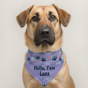 Personalized Pet Bandana – "Hello, I'm [Name]" Collar