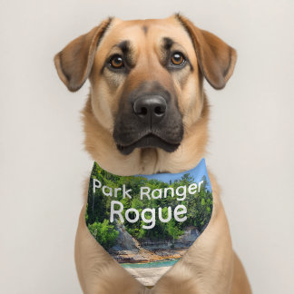 Personalized Pet Bandana - Pictured Rocks NLS Collar