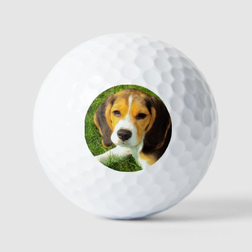 Personalized Pet Beagle Dog Photo Golf Balls