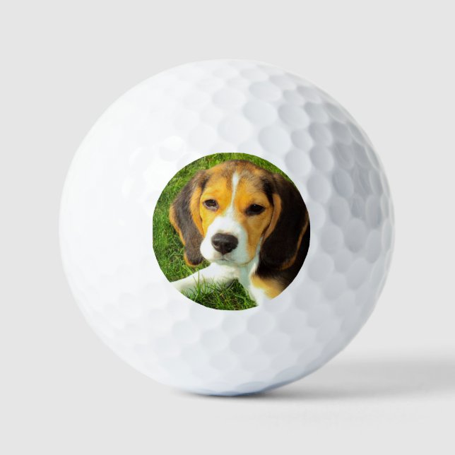 Personalized Pet Beagle Dog Photo Golf Balls (Front)