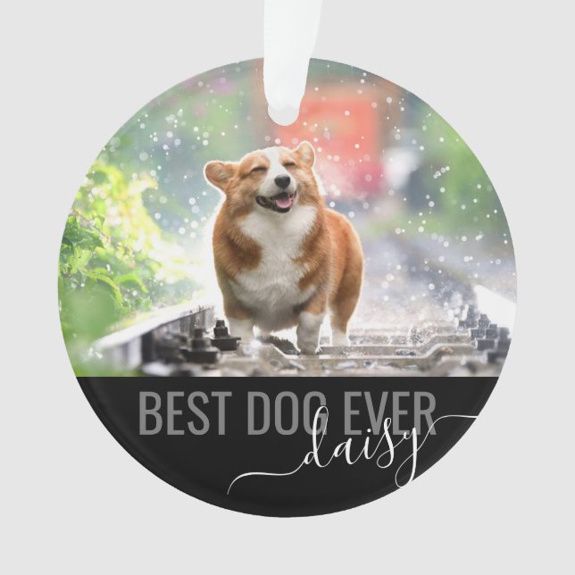 Personalized Pet Best Dog Ever Modern Photo Ornament (Front)