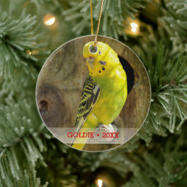 Personalized Pet Bird Photo & Name Christmas Tree Ceramic Ornament