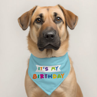 Personalized Pet Birthday Bandana Dog Cat Bandana Collar