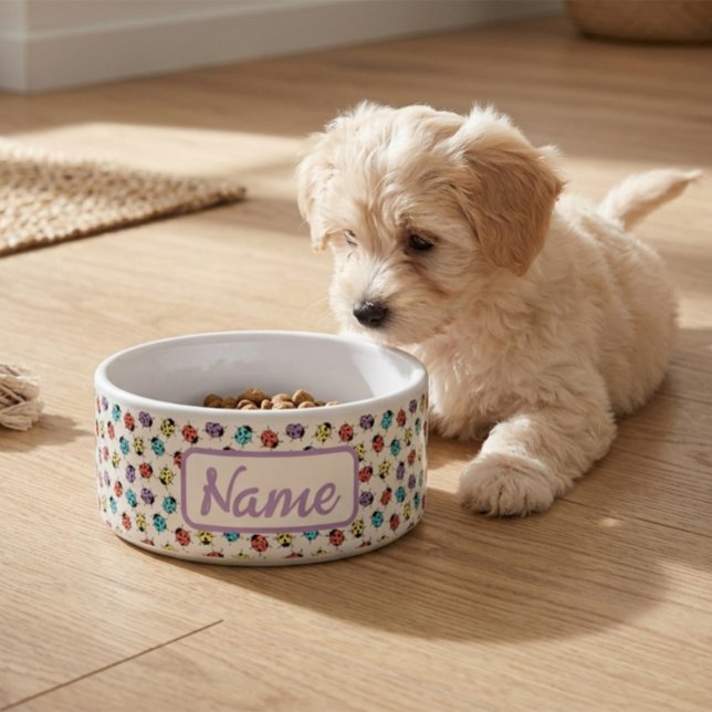 Personalized Pet Bowl with Colorful Ladybugs (Creator Uploaded)
