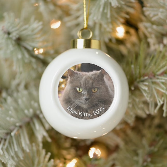 Personalized Pet Cat Dog Christmas Ceramic Ball Christmas Ornament (Tree)
