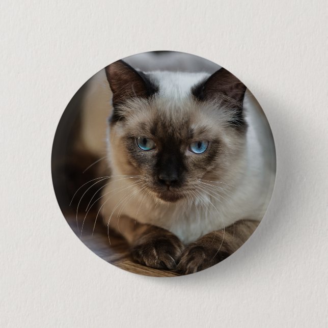 Personalized Pet Cat Image Add Your Own Photo Button (Front)