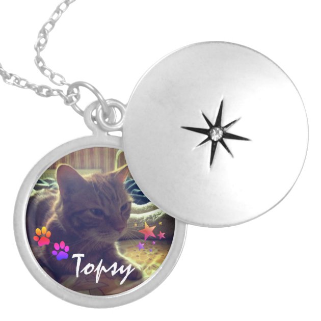 Pet Memorial Jewelry | Cat Urn, Dog Urn Locket for Cremains, Hair, Fur |  Pet Ashes Necklace | Animal Cremation Jewelry | Love, Sympathy Gift