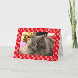Personalized Pet Cat Meowy Christmas Card