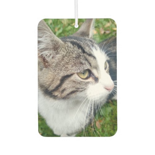 Personalized pet cat photo car air freshener scent