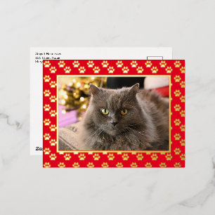 Personalized Pet Cat Photo Meowy Christmas Gold Foil Holiday Postcard