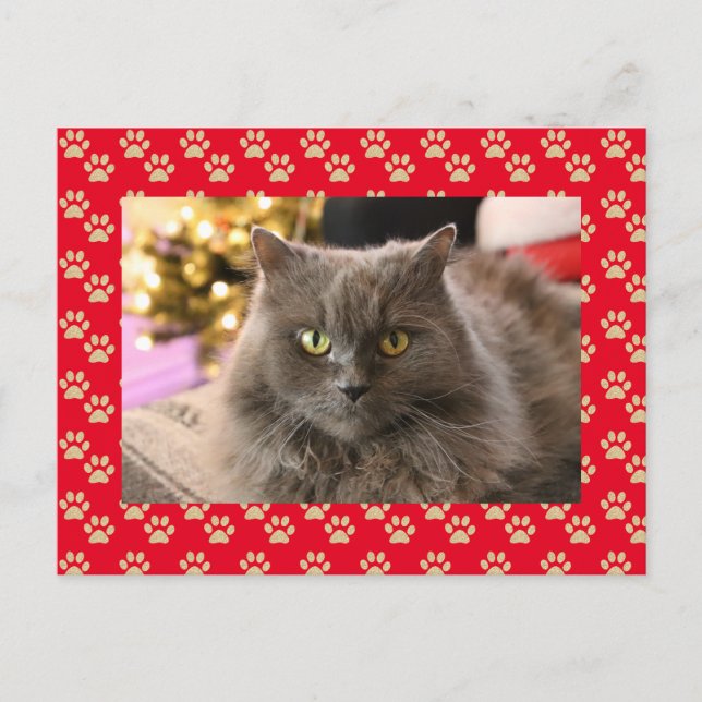 Personalized Pet Cat Photo Meowy Christmas Holiday Postcard (Front)