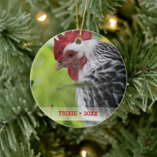 Personalized Pet Chicken Photo Christmas Tree Ceramic Ornament