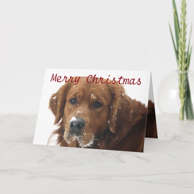 Personalized Pet Christmas Card (Front)