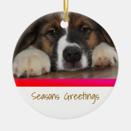 Personalized Pet Christmas Ornament