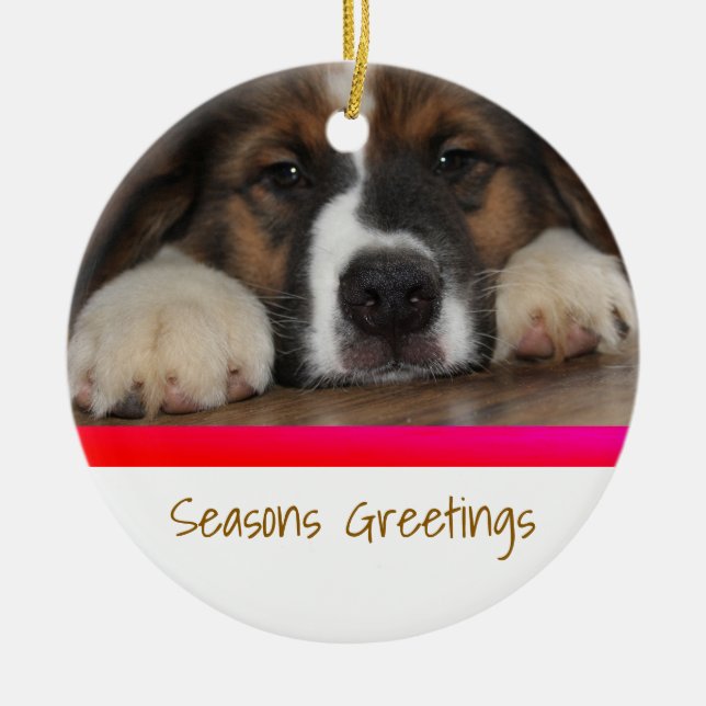 Personalized Pet Christmas Ornament (Front)