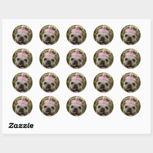 Personalized pet dog birthday Classic Round Sticker