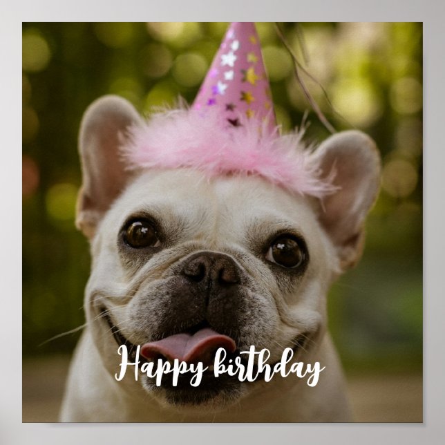  Personalized pet dog birthday  Poster (Front)